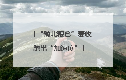 “豫北粮仓”麦收跑出“加速度”